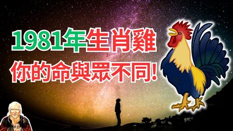 1981屬雞2024運勢|不同年份生肖雞運勢及運程2024